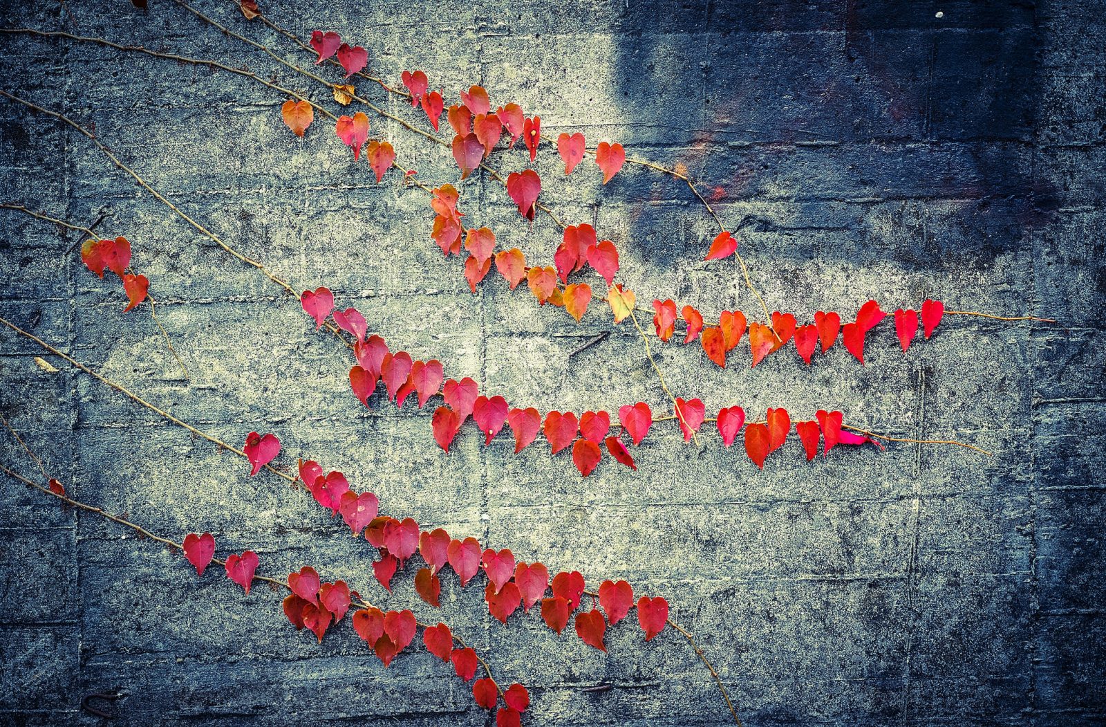 (fot. Luke Ma / flickr.com / CC BY 2.0)