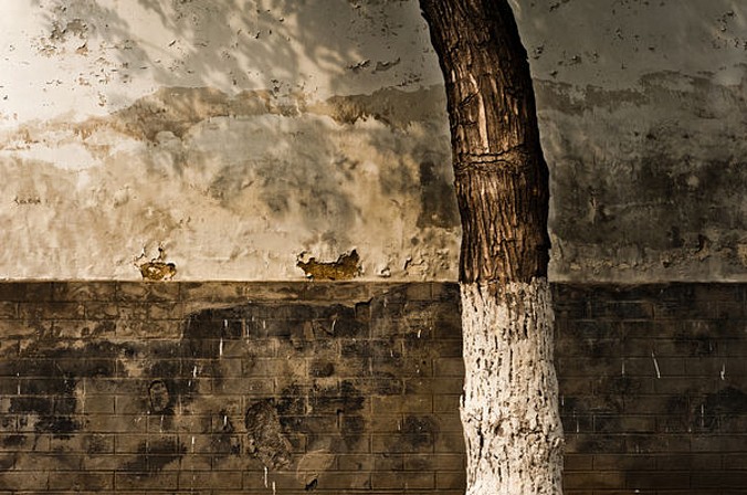 (fot. Jonathan Kos-Read / Foter / CC BY-ND)