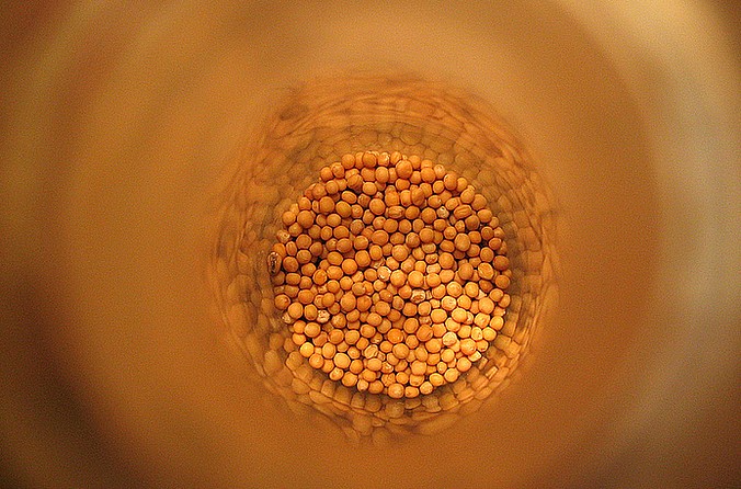 (fot. charmar / flickr.com / CC BY-ND 2.0)