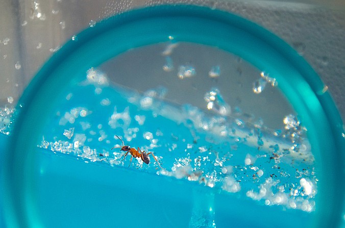 (fot. derekGavey / flickr.com / CC BY 2.0)