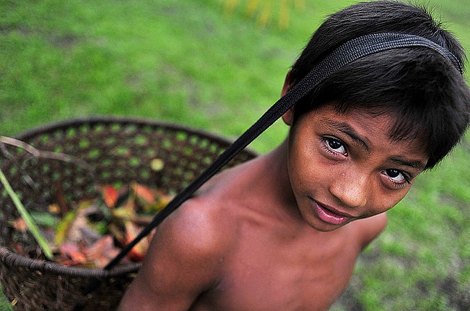 (fot. CIFOR / flickr.com / CC BY-NC-ND 2.0)