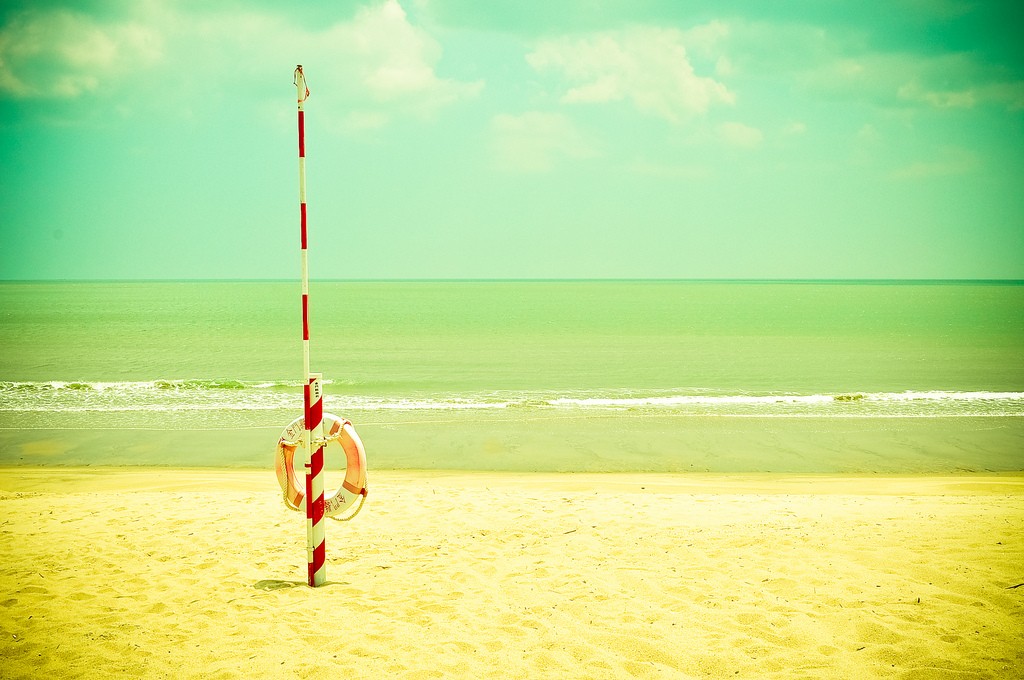 (fot. Cindy / flickr.com / CC BY-NC-ND 2.0)
