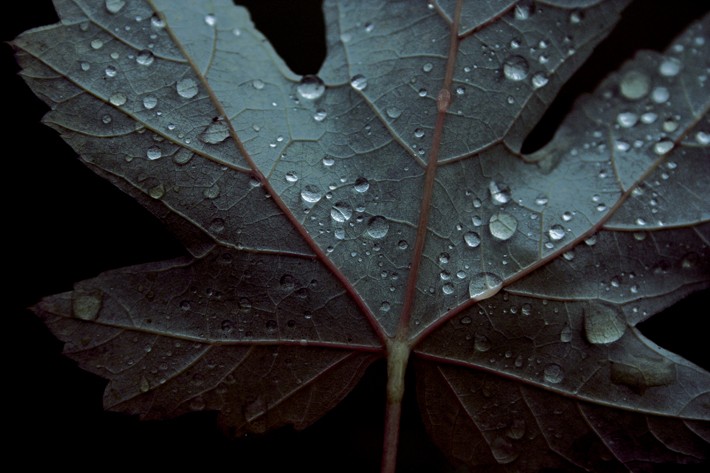 (fot. Martin Gommel / flickr.com / CC BY-NC-ND 2.0)