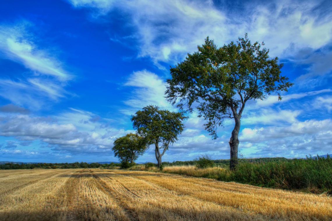 (fot. Hamish Irvine / flickr.com / CC BY-NC 2.0)
