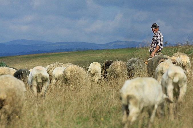 Na dobranoc i dzień dobry – J 10, 11-16