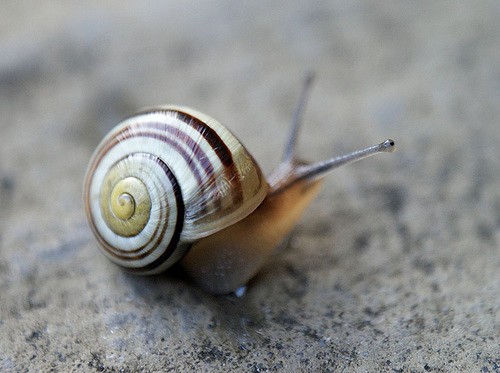 (fot. Andy Powell / flickr.com / CC BY 2.0)