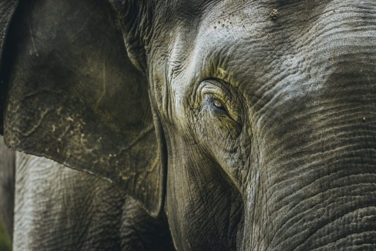 (fot. aotaro / flickr.com / CC BY 2.0)