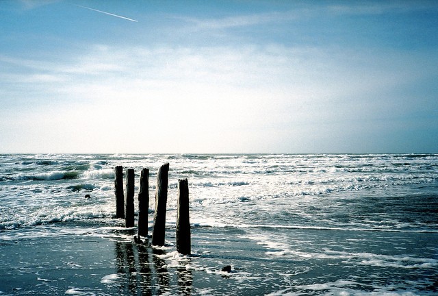 (fot. Christopher Bowns / flickr.com / CC BY-SA 2.0)