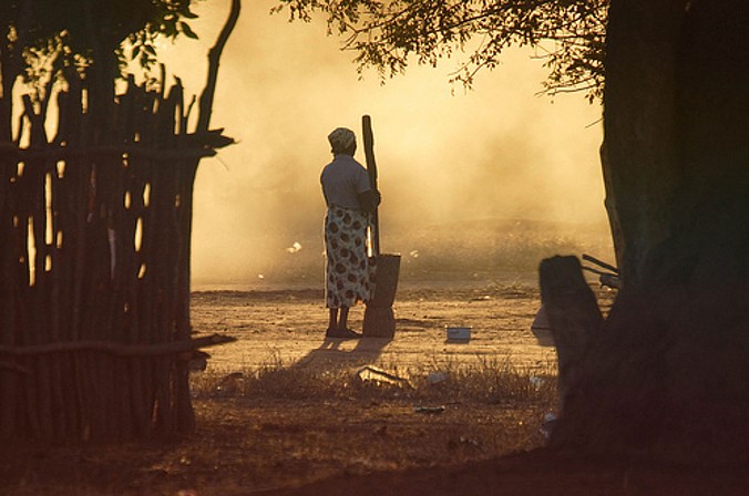(fot. ILRI / Foter / CC BY-NC-SA)