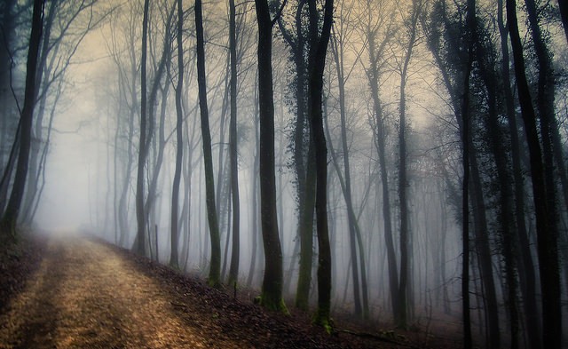 (fot. Carlo Scherer / flickr.com / CC BY-NC-ND 2.0