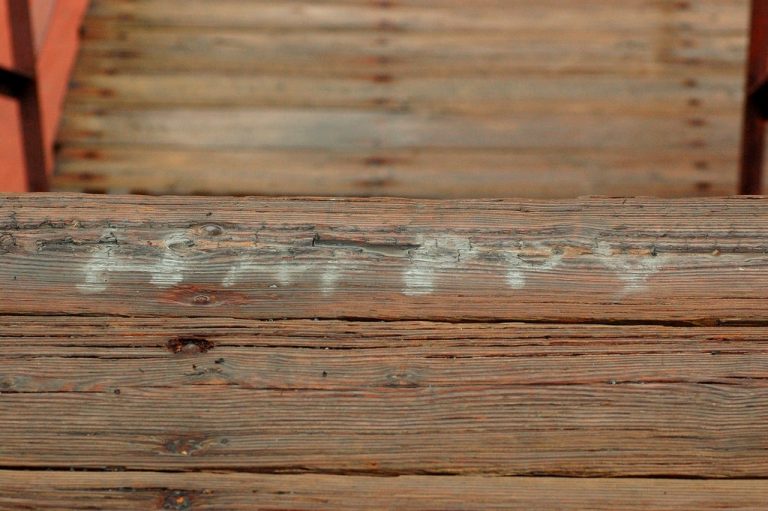 (fot. Rob Swatski / flickr.com / CC BY-NC 2.0)