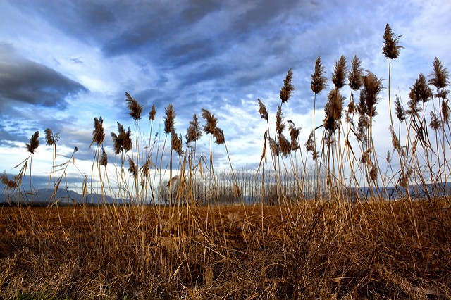 (fot. Theophilos Papadopoulos / flickr.com / CC BY-NC-ND 2.0)