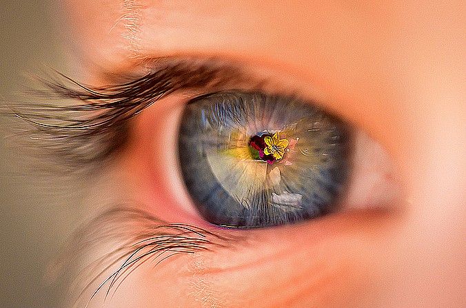 (fot. AdriaanC / flickr.com / CC BY-NC-ND 2.0)