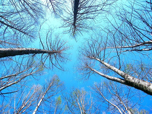 (fot. Stanley Zimny (Thank You for 43 Million views) / flickr.com / CC BY-NC 2.0)