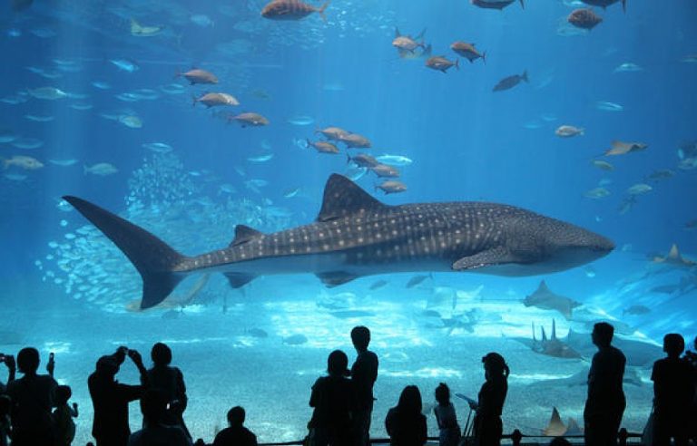 (fot. Greg Miles / Foter.com / CC BY-NC-SA)