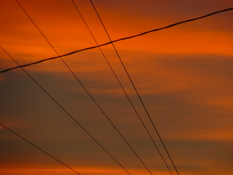 (fot. cesar bojorquez / flickr.com / CC BY 2.0)