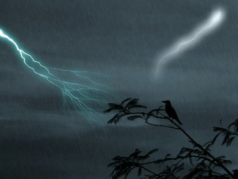 (fot. Pandiyan V / flickr.com / CC BY-NC 2.0)