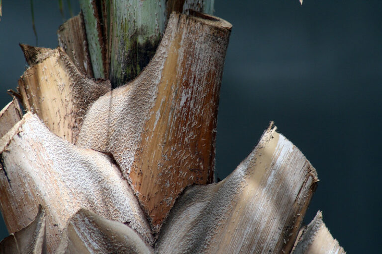 (fot. a.dombrowski / flickr.com / CC BY-SA 2.0)