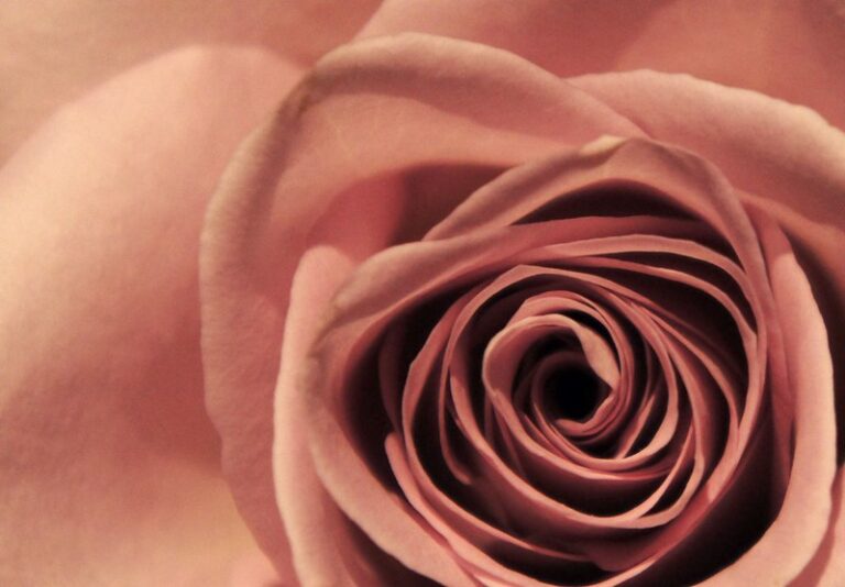 (fot. Ainack / flickr.com / CC BY-NC-ND 2.0)