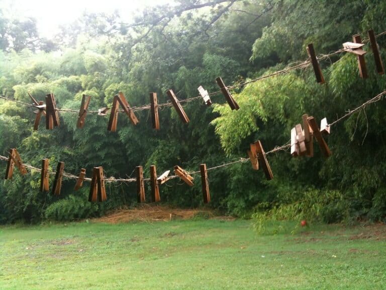 (fot. Lana L. / flickr.com / CC BY-NC 2.0)