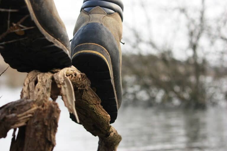 (fot. Kitty Terwolbeck / flickr.com / CC BY 2.0)