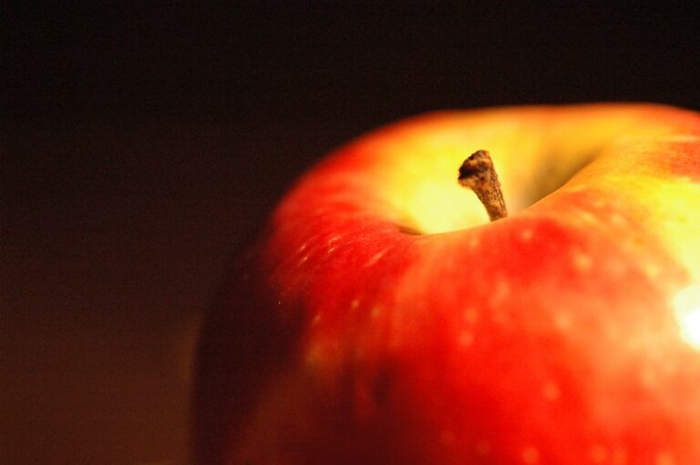 (fot. Scott de Vries / flickr.com / CC BY-NC-ND 2.0)