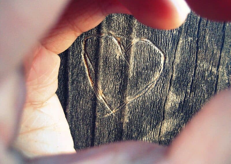 (fot. displayonly / Flickr.com / CC BY-NC-ND 2.0)