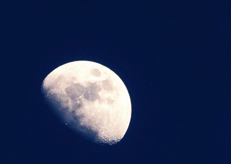 (fot. 456PHOTOS / flickr.com / CC BY 2.0)