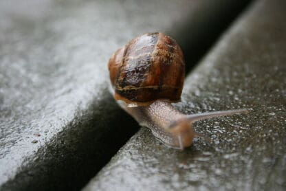 (fot. Eli Duke / flickr.com / CC BY-SA 2.0)