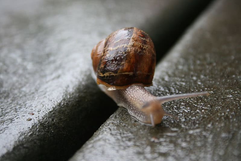 (fot. Eli Duke / flickr.com / CC BY-SA 2.0)