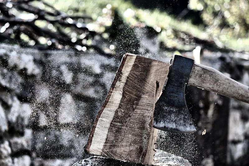 (fot. lucio zandonati / flickr.com / CC BY-NC-ND 2.0 DEED)