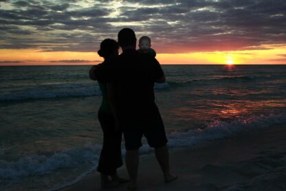 (fot. Steve Evans / flickr.com / CC BY-NC 2.0 DEED)