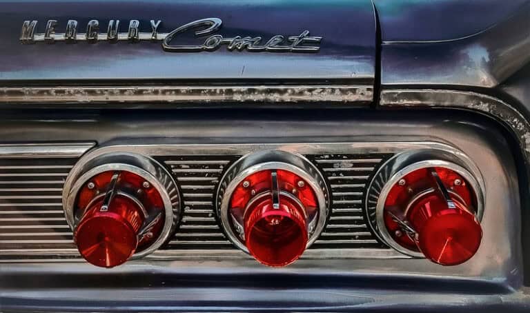 (fot. Wayne S. Grazio / flickr.com / CC BY-NC-ND 2.0 DEED)