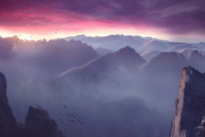 (fot. domollie / flickr.com / CC BY-SA 2.0 DEED)