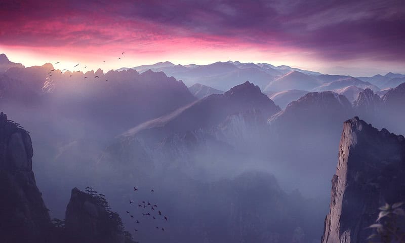 (fot. domollie / flickr.com / CC BY-SA 2.0 DEED)