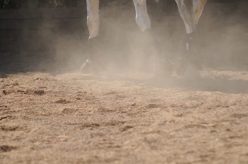 (fot. Steven Lilley / flickr.com / CC BY-SA 2.0 DEED)