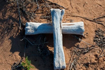 (fot. Hadley Paul Garland / flickr.com / CC BY-SA 2.0 DEED)