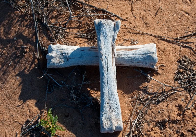 (fot. Hadley Paul Garland / flickr.com / CC BY-SA 2.0 DEED)