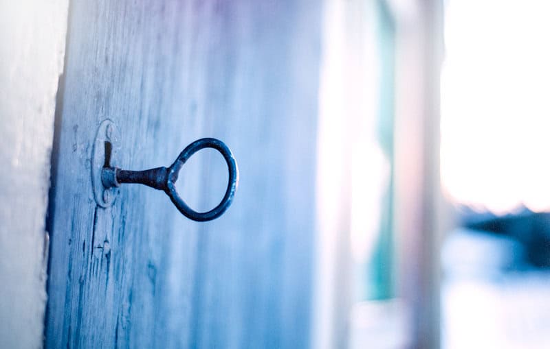 (fot. netzanette / flickr.com / CC BY-NC 4.0 DEED)