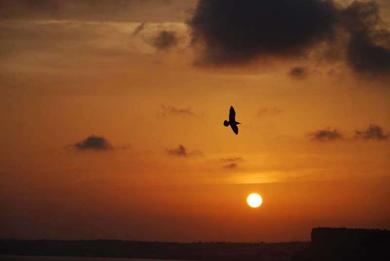 (fot. _bel_ / flickr.com / CC BY-NC-ND 2.0)