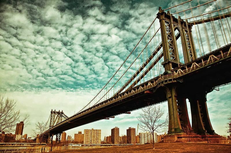 (fot. CJ Oliver / flickr.com / CC BY-NC 2.0)