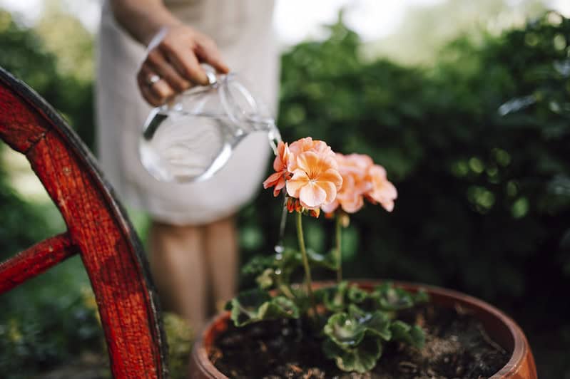 (fot. Nenad Stojkovic / flickr.com / CC BY 2.0)