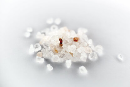 (fot. David Kracht / Flickr.com / CC BY-NC-SA 2.0)