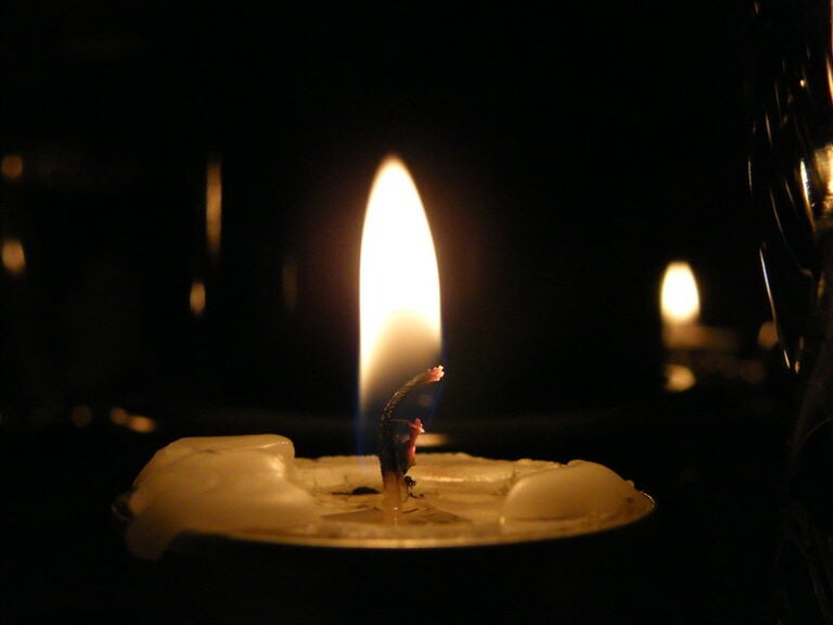 (fot. Christopher Selac / flickr.com / CC BY 2.0)