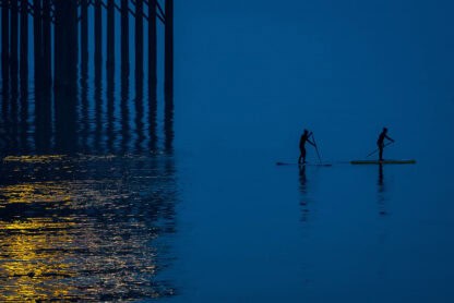 (fot. Helen Haden / flickr.com / CC BY-NC 2.0)