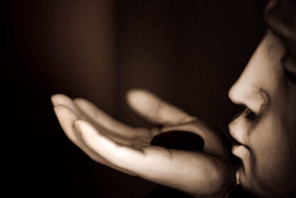 (fot. raymondclarkeimages / flickr.com / CC BY-NC 2.0)