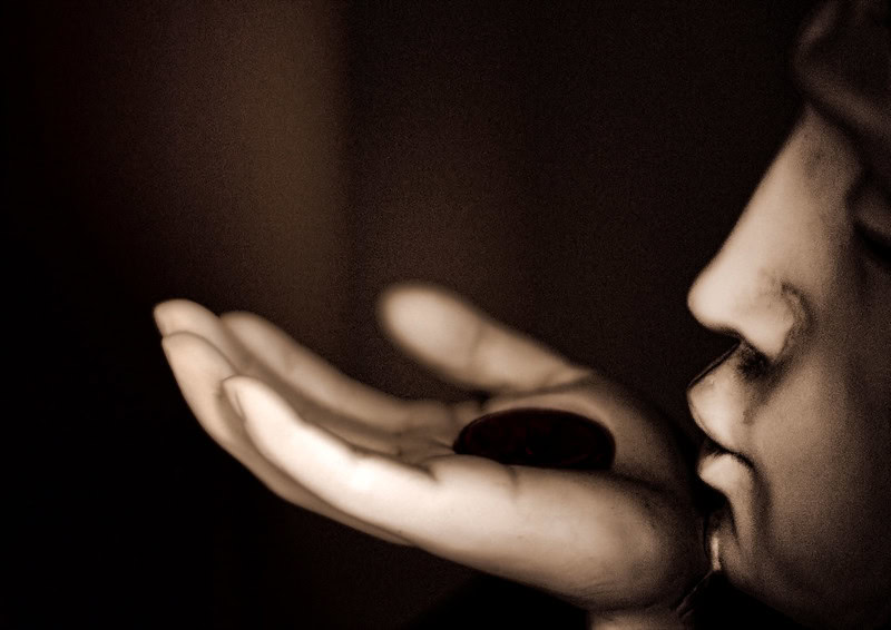 (fot. raymondclarkeimages / flickr.com / CC BY-NC 2.0)