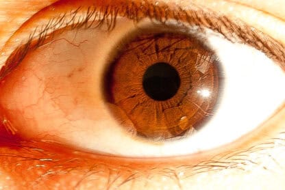 (fot. Cesar / flickr.com / CC BY-ND 2.0)