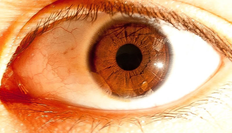 (fot. Cesar / flickr.com / CC BY-ND 2.0)